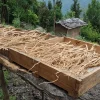 野生黄芪片500克 老黄芪片 北芪 huang qi astragalus mongholicus  黄芪泡水 黄耆 北芪 黄氏 astragalus root astragalus membranaceus   黄芪图片 芪 黄霑 astragalus - 图片 2
